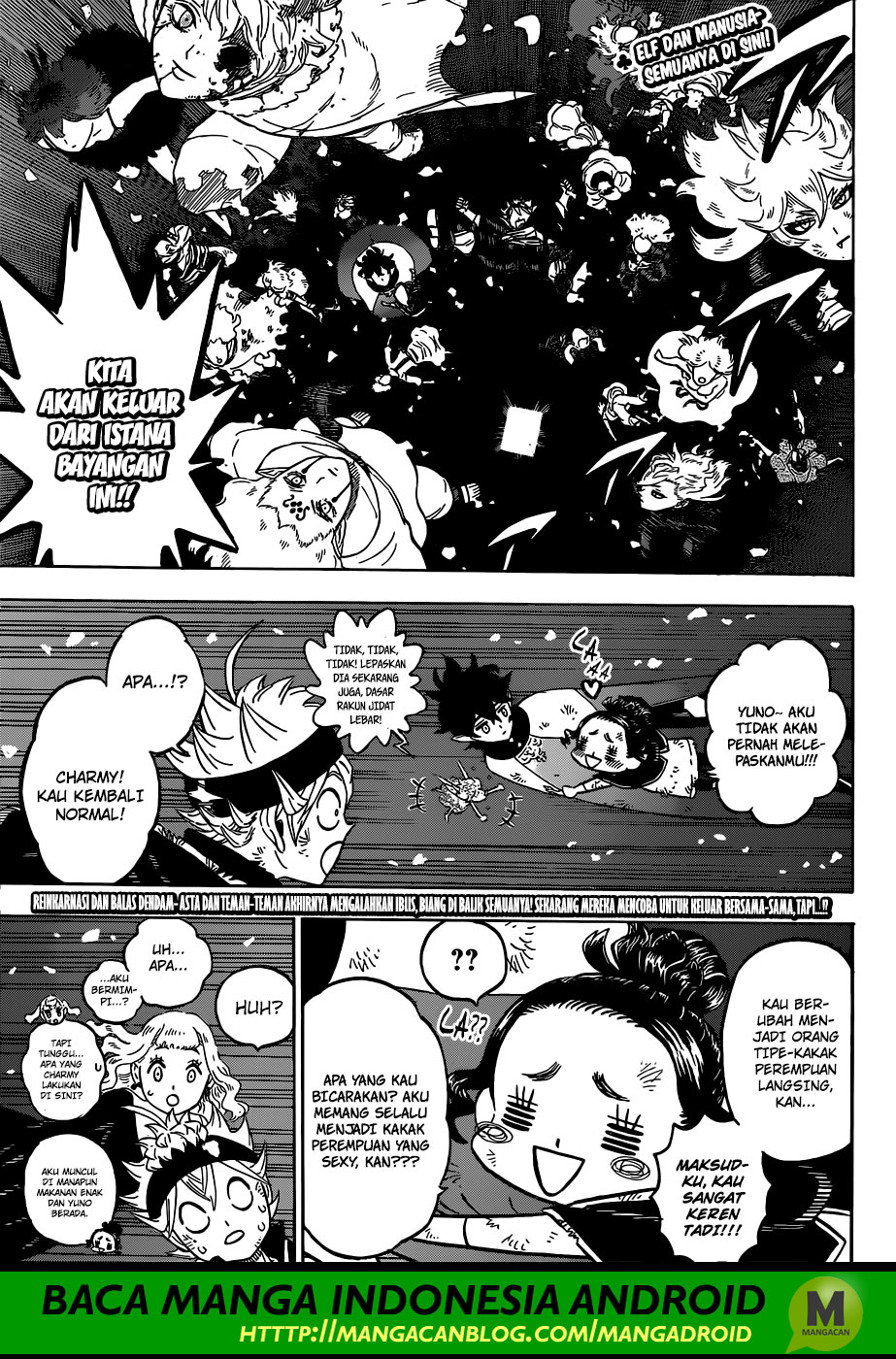 Black Clover  Chapter 213