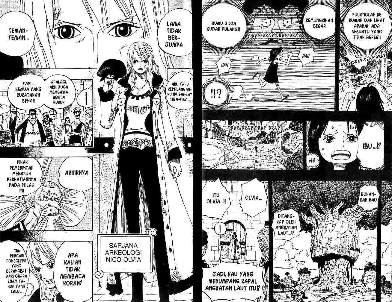 One Piece  Chapter 393