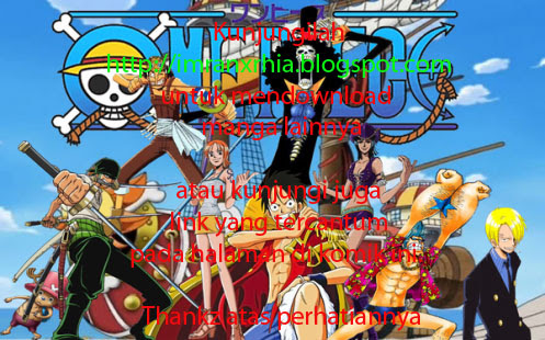 One Piece  Chapter 558
