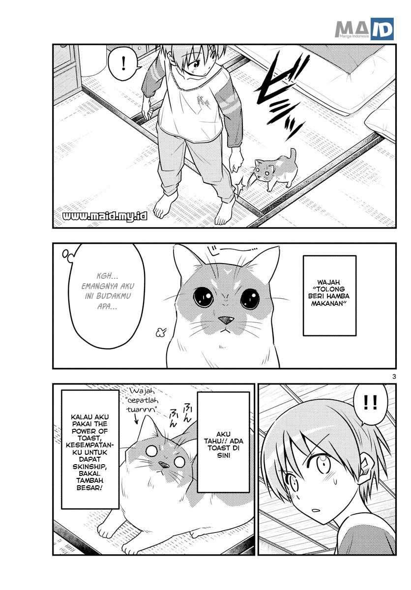 Tonikaku Kawaii  Chapter 53